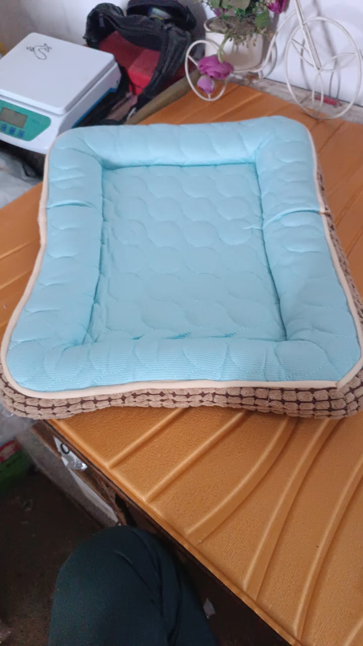 Cat Dog Bed For Indoor Cats (1 Pc)