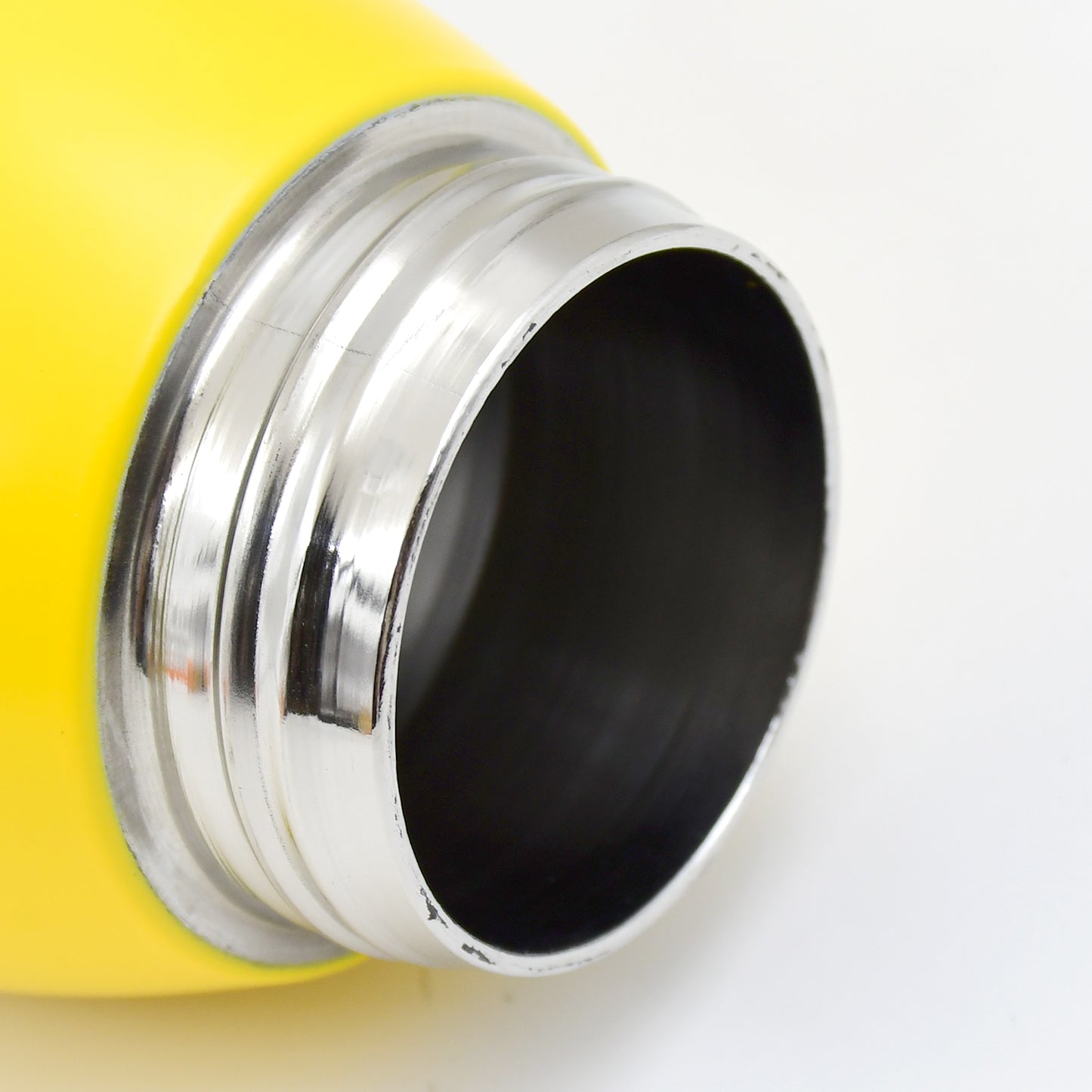 Duck Stainless Steel Water Bottle (1 Pc Mix Design)